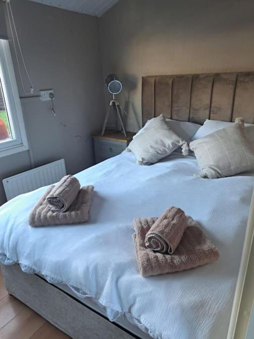 No. 4 Sunny Lodge By The Sea Aberystwyth Eksteriør billede